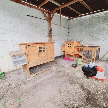 Casa vacanze La Ferme Bisiaux